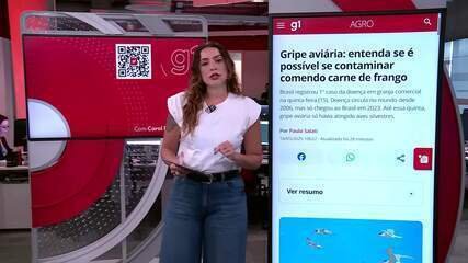 boi,-frango-e-porco:-usp-analisa-movimentos-de-precos-das-carnes-concorrentes-e-reflexos-da-estiagem-em-agosto boi,-frango-e-porco:-usp-analisa-movimentos-de-precos-das-carnes-concorrentes-e-reflexos-da-estiagem-em-agosto