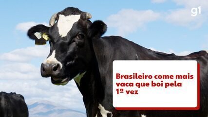brasileiro-come-mais-vaca-do-que-boi:-abate-de-femeas-superou-o-de-machos-pela-primeira-vez brasileiro-come-mais-vaca-do-que-boi:-abate-de-femeas-superou-o-de-machos-pela-primeira-vez