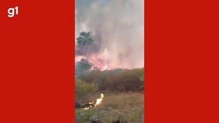 incendio-no-parque-nacional-grande-sertao-veredas-e-controlado incendio-no-parque-nacional-grande-sertao-veredas-e-controlado