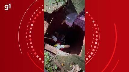 mudanca-no-comportamento-de-cachorro-ajuda-a-salvar-idosa-que-caiu-em-cisterna-de-13-metros-em-mg