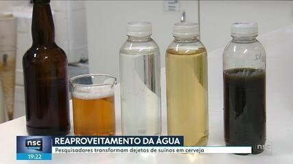 coco-e-xixi-de-porcos-podem-virar-agua-potavel-(e-ate-mesmo-cerveja)-com-sistema-de-tratamento;-entenda