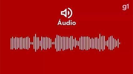 bico-de-furar-bambu,-ninhos-nunca-vistos:-conheca-a-ave-rara-e-exclusiva-da-amazonia-ameacada-de-extincao