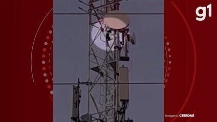 bugio-ameacado-de-extincao-chama-atencao-de-moradores-ao-escalar-torre-de-telefonia-de-30-metros-de-altura-e-invadir-casas;-veja-video