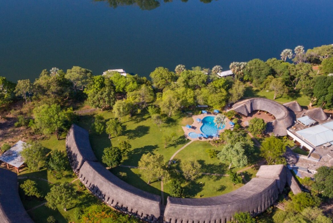 video:-crocodilo-invade-recepcao-de-hotel-e-tenta-subir-no-balcao