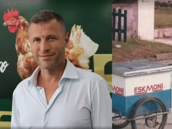 fotografia-de-vida-selvagem:-foto-de-bololo-de-abelhas-vence-concurso-internacional