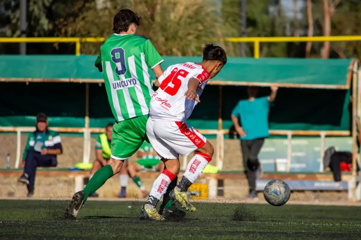 O que é a Liga de Desportos de Betim e como ela organiza o esporte na cidade?