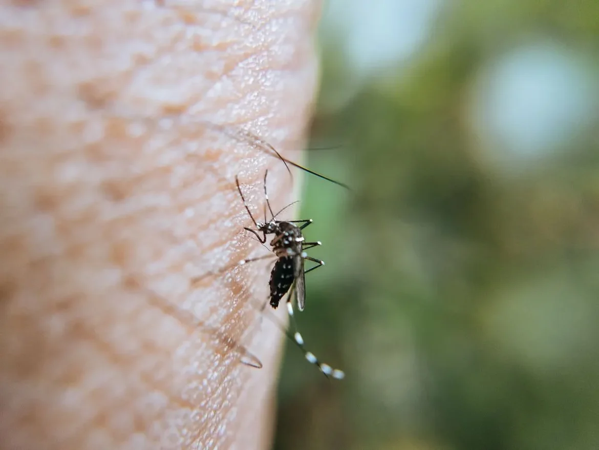 Quantos casos de dengue há em Betim hoje?